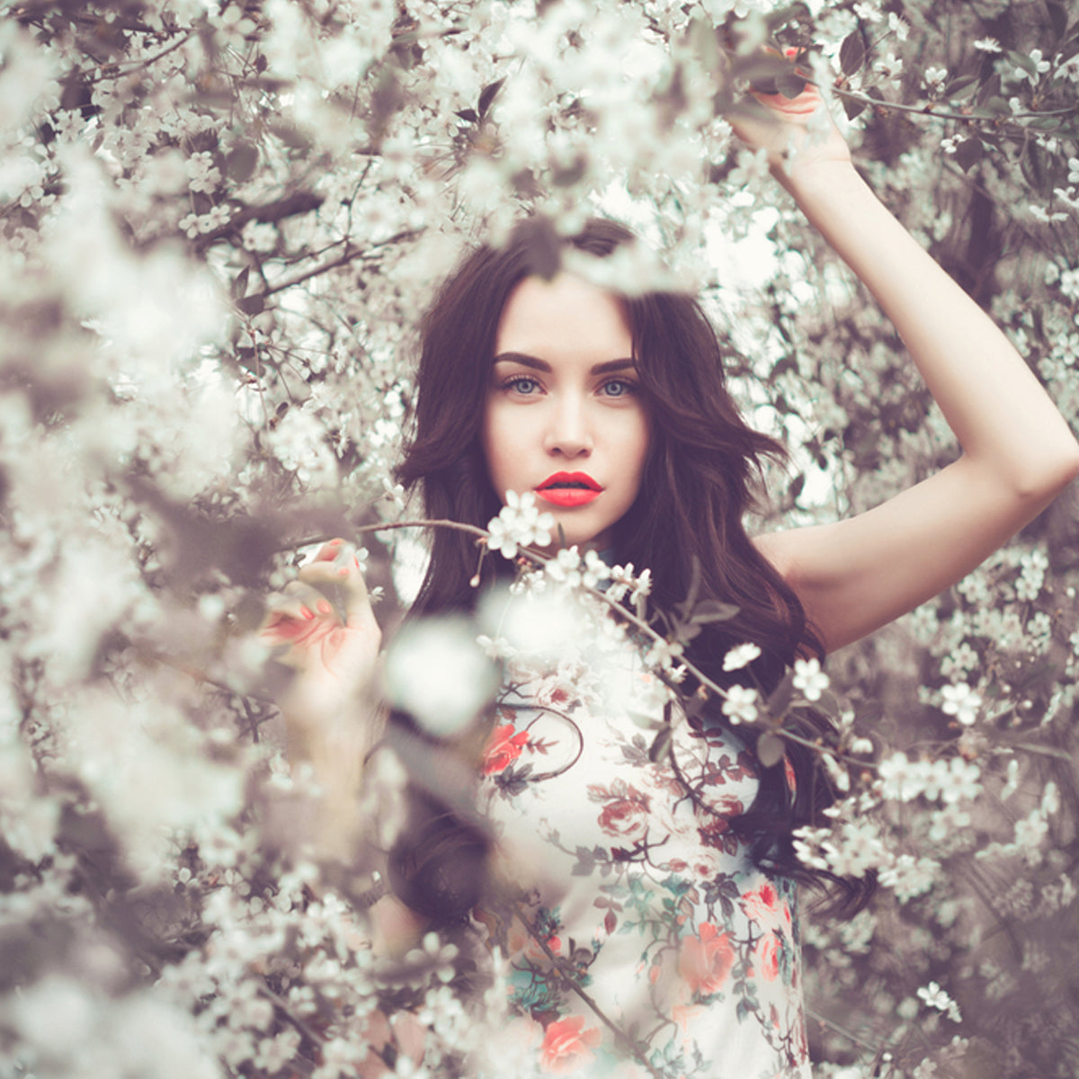 F131 (F) Inspired by Japanese Cherry Blossom by Bath & Body Works (BBW)