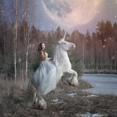 F107 (F) Inspired by *New West by Aramis-1